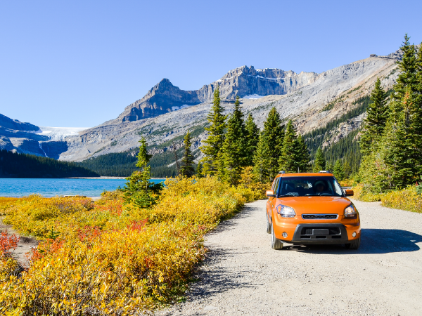 Get up to 100 Rewards Miles™ with National & Alamo
